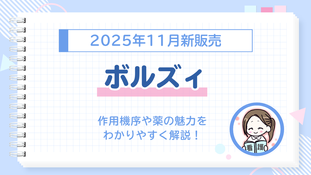 モカスクール　ボルズィ